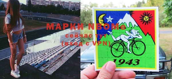 прущие грибы Новокубанск