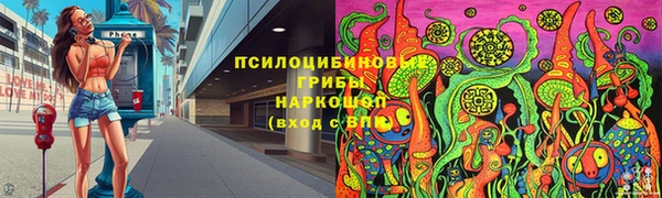 прущие грибы Новокубанск