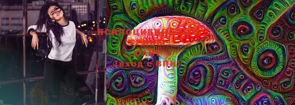 МДПВ Новодвинск