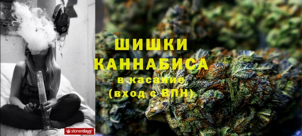 прущие грибы Новокубанск