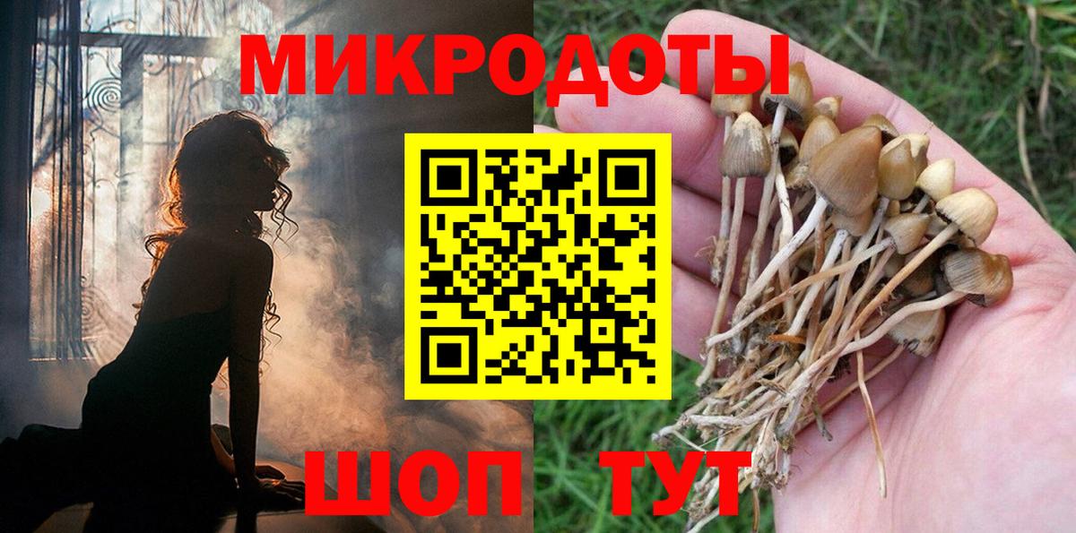 Псилоцибиновые грибы мухоморы  Вход с VPN  Каспийск  Псилоцибиновые грибы GOLDEN TEACHER 