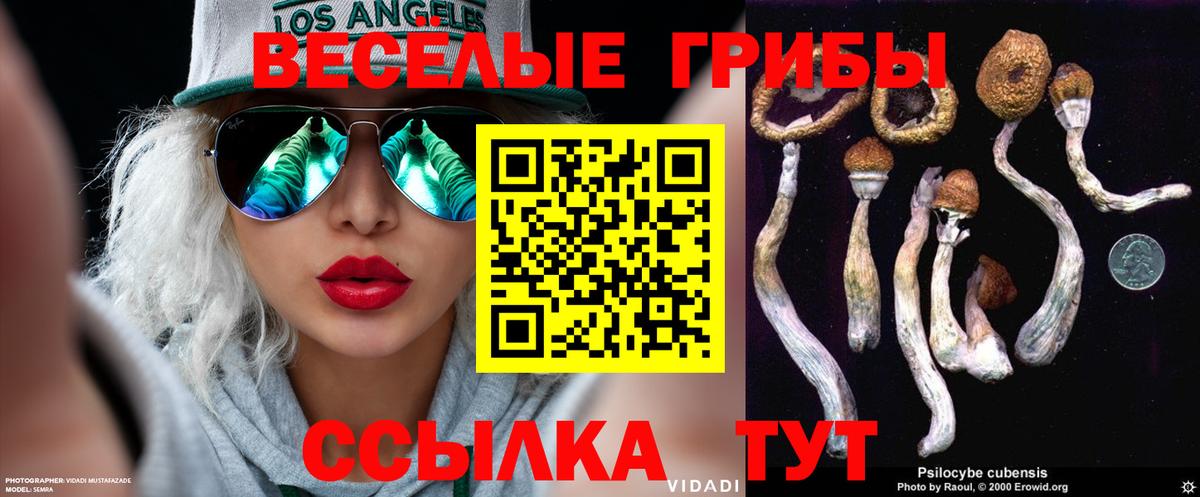 Галлюциногенные грибы Psilocybe Каспийск